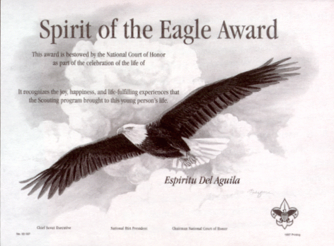 Spirit of the Eagle Award Certificate
