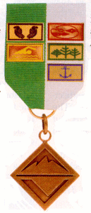 Bronze Award Medal with devices